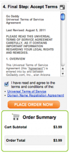 Accept the terms and conditions for use of your new domain.