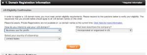 After choosing your domain, answer a few questions about its purpose.